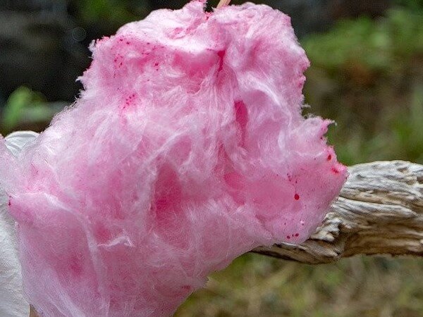 Can Dogs Eat Cotton Candy Dog Leash Pro