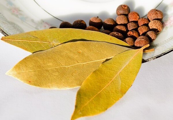 are bay leaves toxic to dogs and cats