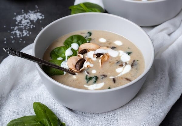 mushroom soup good for dogs