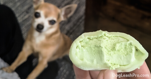 Can Dogs Eat Mochi? The Sugary Truth! - Dog Leash Pro