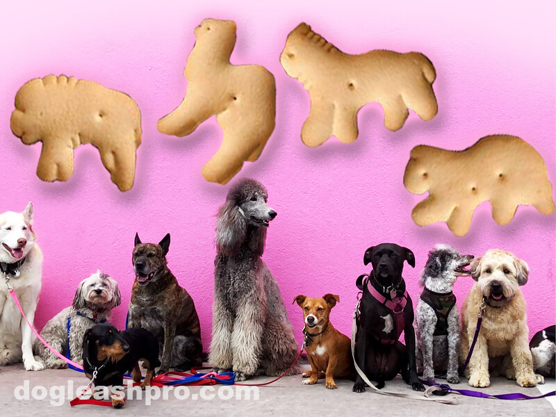 are animal crackers bad for dogs