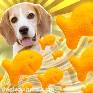 Can dogs eat Goldfish