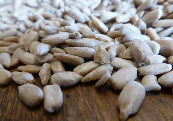 are shelled sunflower seeds bad for dogs