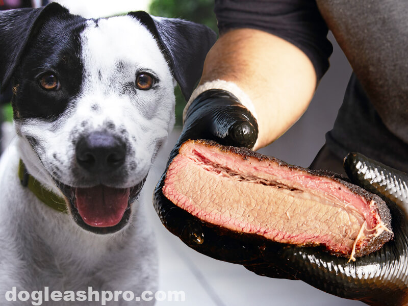 brisket bones for dogs what actually is a brisket bone