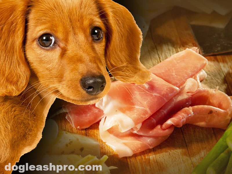 can dogs eat prosciutto