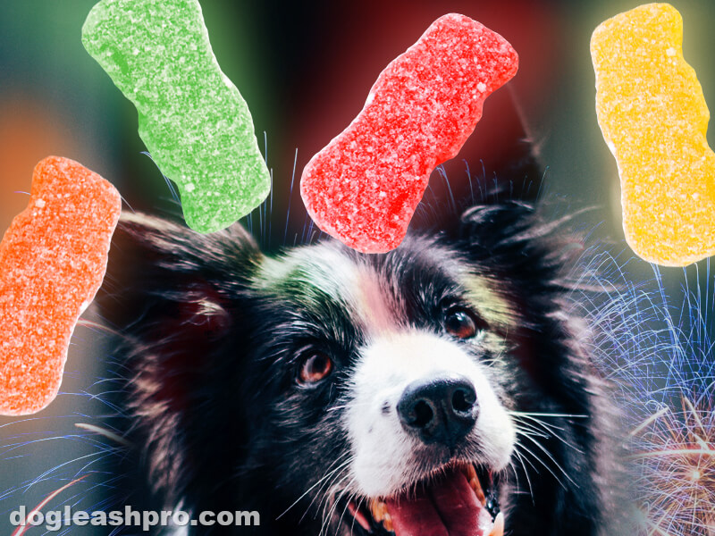 are sour patcg kids bad for dogs