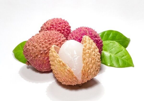 how to eat lychee for dogs