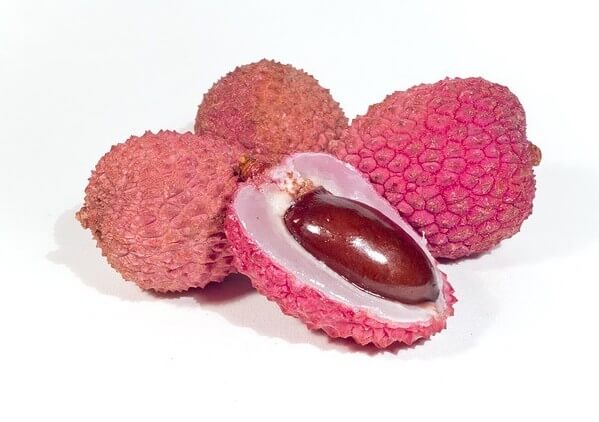 lychee seeds edible for dogs