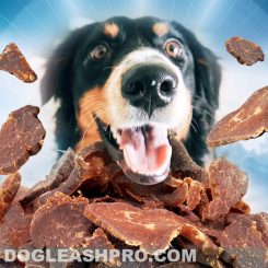 Can Dogs Eat Beef Jerky