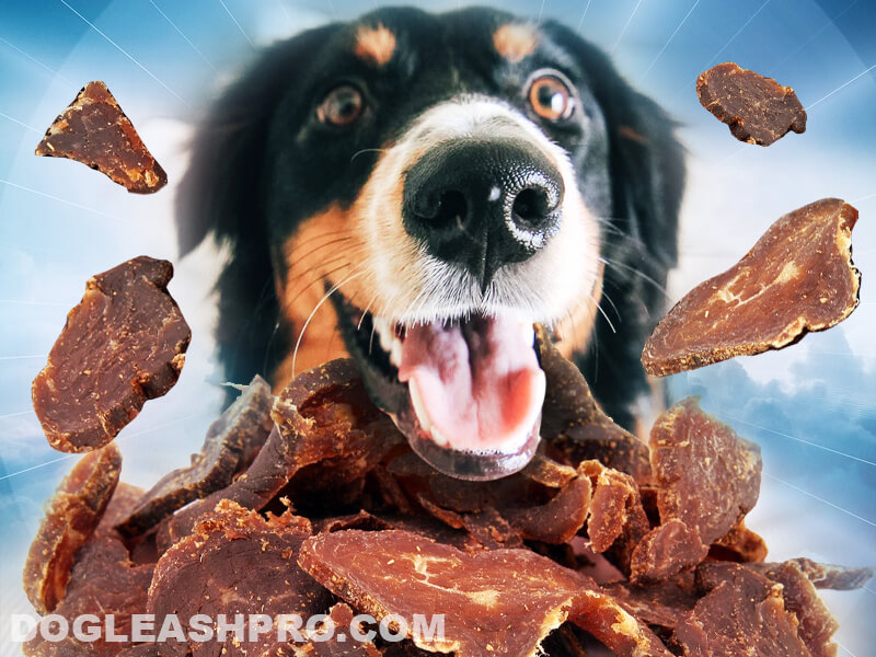 26 Can Dogs Eat Beef Tongue Home