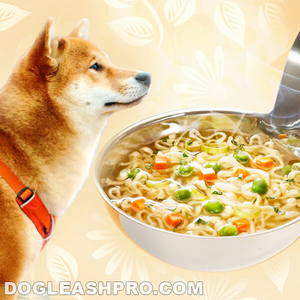 Can Dogs Eat Chicken Noodle Soup? - Dog Leash Pro