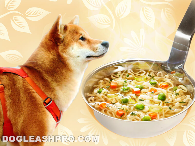 Can Dogs Eat Chicken Noodle Soup? - Dog Leash Pro