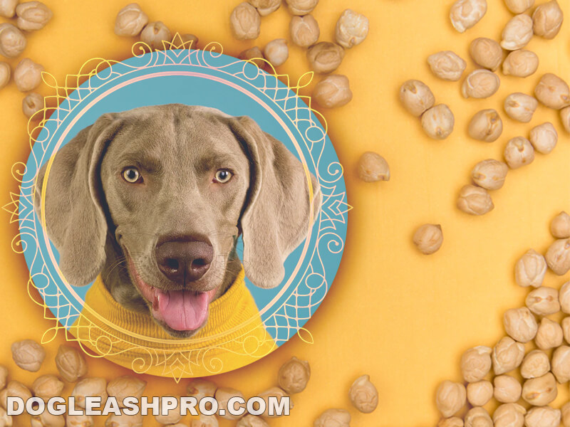 are garbanzo beans good for dogs