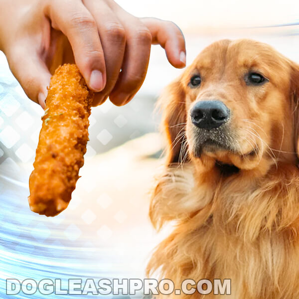 Can Dogs Eat Fish Sticks