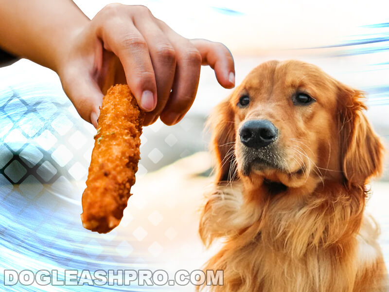 Can Dogs Eat Fish Fingers 