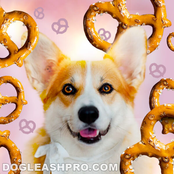 Can Dogs Eat Pretzels? - Dog Leash Pro