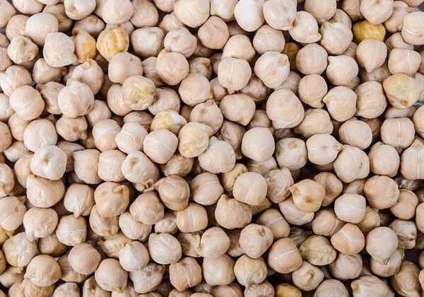 are garbanzo beans safe for dogs