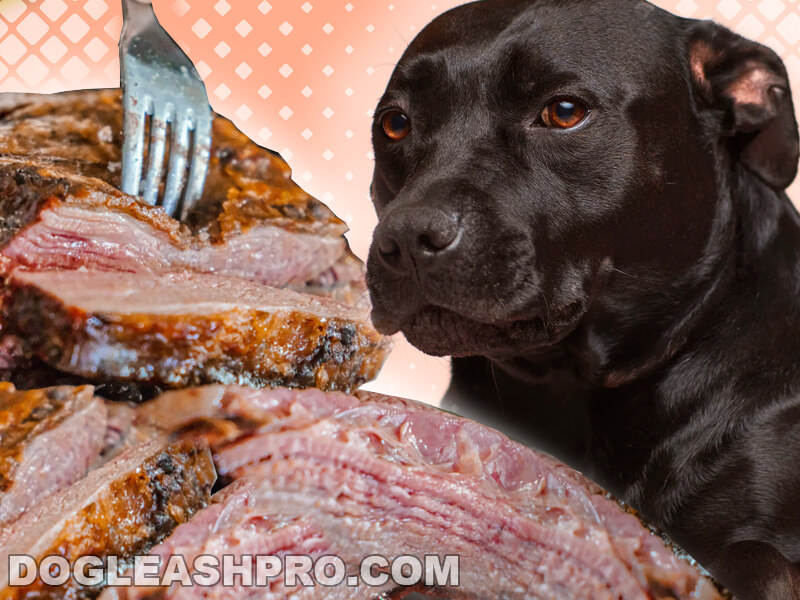 is lunch meat bad for dogs to eat