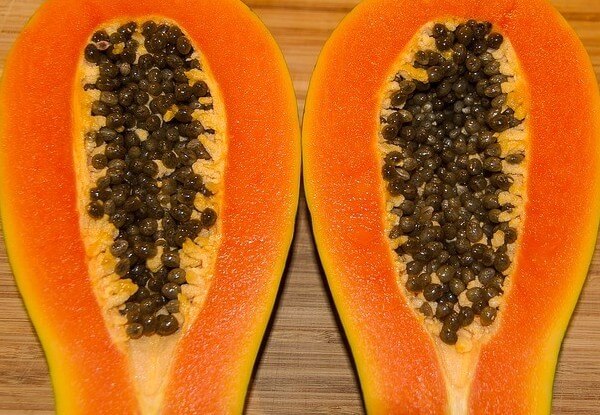 is papaya enzyme good for dogs