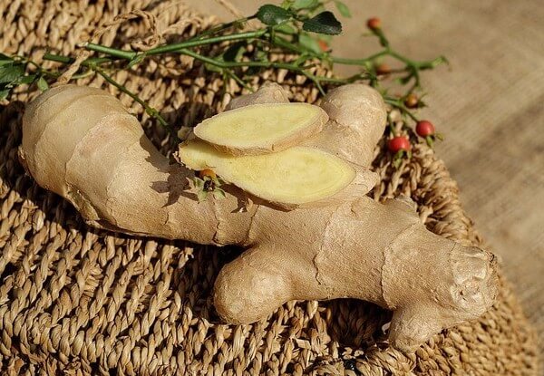 Ginger root dosage for dogs