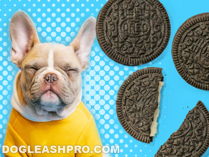 are golden oreos bad for dogs