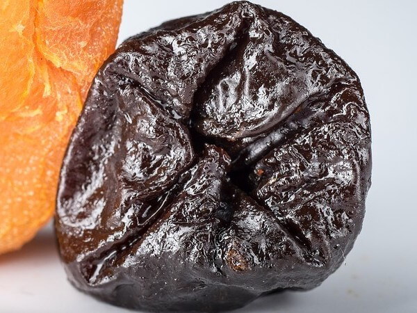 are prunes bad for dogs to eat