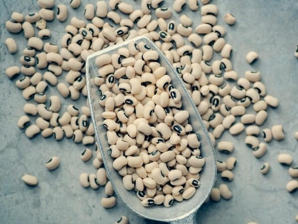 Can Dogs Eat Black Eyed Peas? - Dog Leash Pro