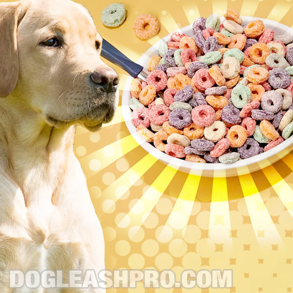 Can Dogs Eat Cereal? - Dog Leash Pro