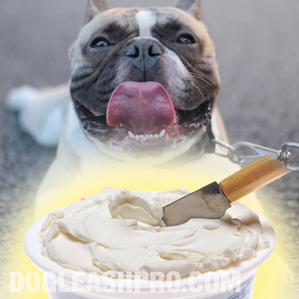 Can Dogs Eat Cream Cheese? - Dog Leash Pro
