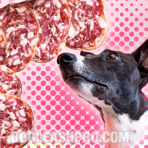 Can Dogs Eat Salami? - Dog Leash Pro