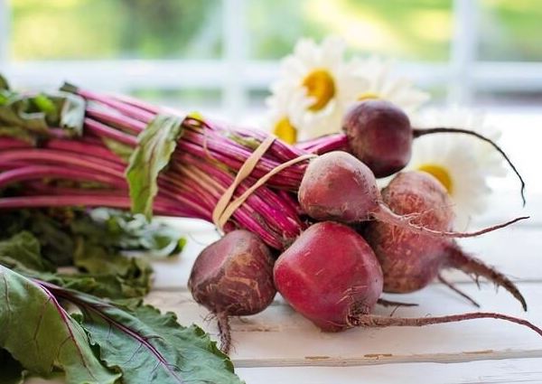 can dogs have Beets to eat
