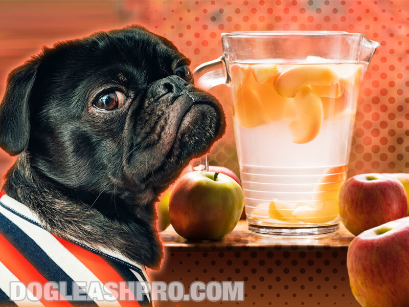 do apples give dogs diarrhea