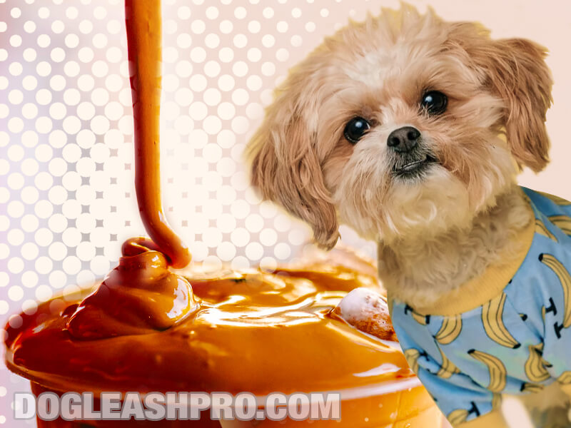 Can Dogs Eat Caramel