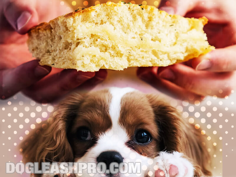 Can Dogs Eat Cornbread? - Dog Leash Pro