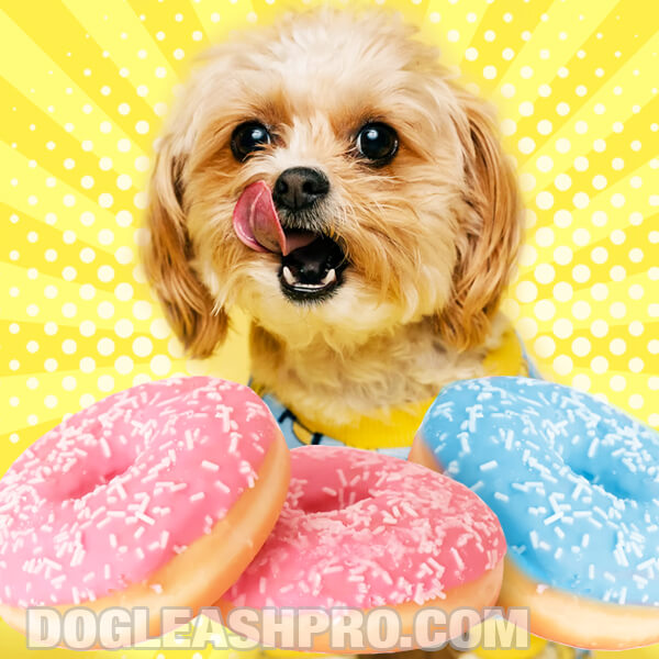 Can Dogs Eat Donuts? - Dog Leash Pro
