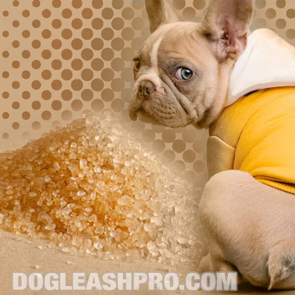 Can Dogs Eat Brown Sugar