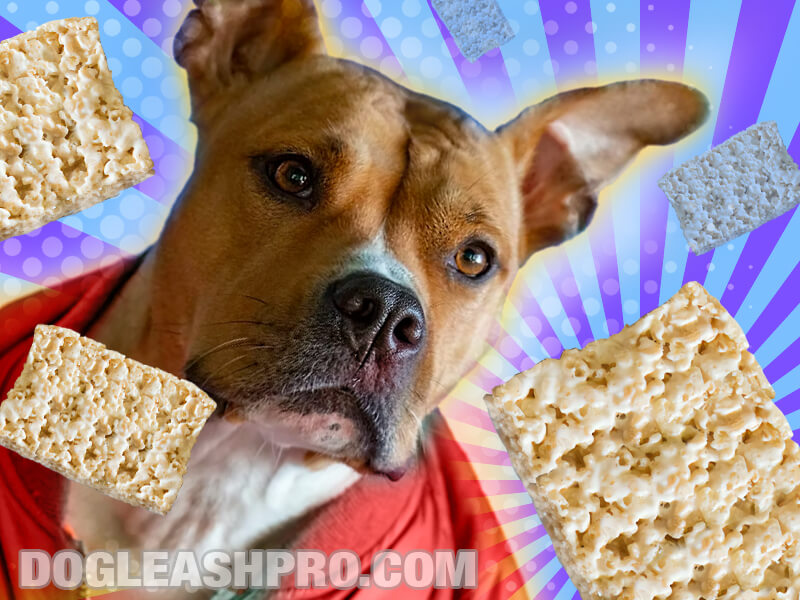 Can Dogs Eat Rice Krispies