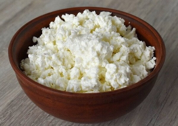 benefits of Cottage Cheese for dogs