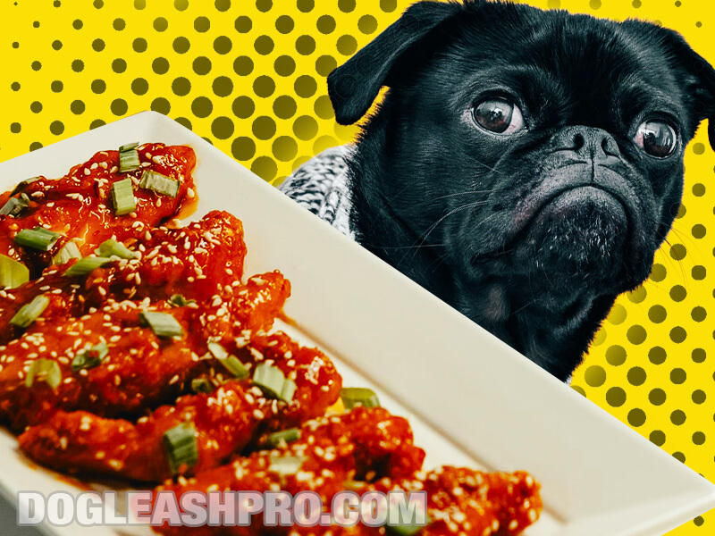 Can Dogs Eat Orange Chicken