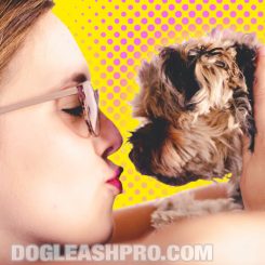 Do Dogs Like Kisses