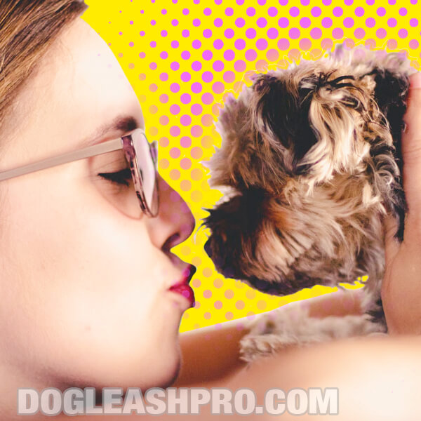Do Dogs Like Kisses