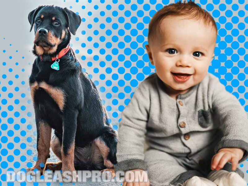 are rottweilers good with babies