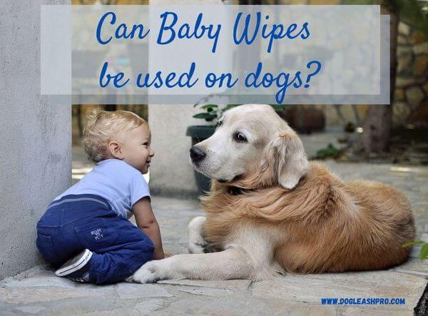 can i use baby wipes on my dog