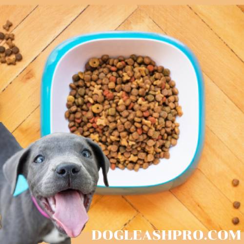 Can Cats Eat Pedigree Wet Dog Food Lyndsay Bronson