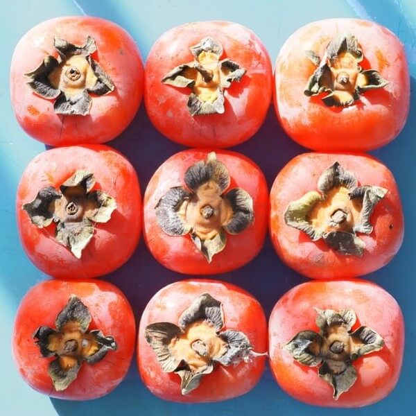 Dogs Persimmons