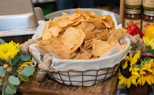 are nachos chips bad for dogs