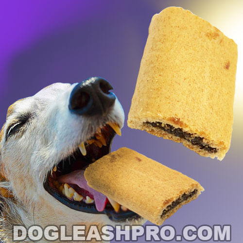 Can Dogs Eat Fig Newtons? - Dog Leash Pro
