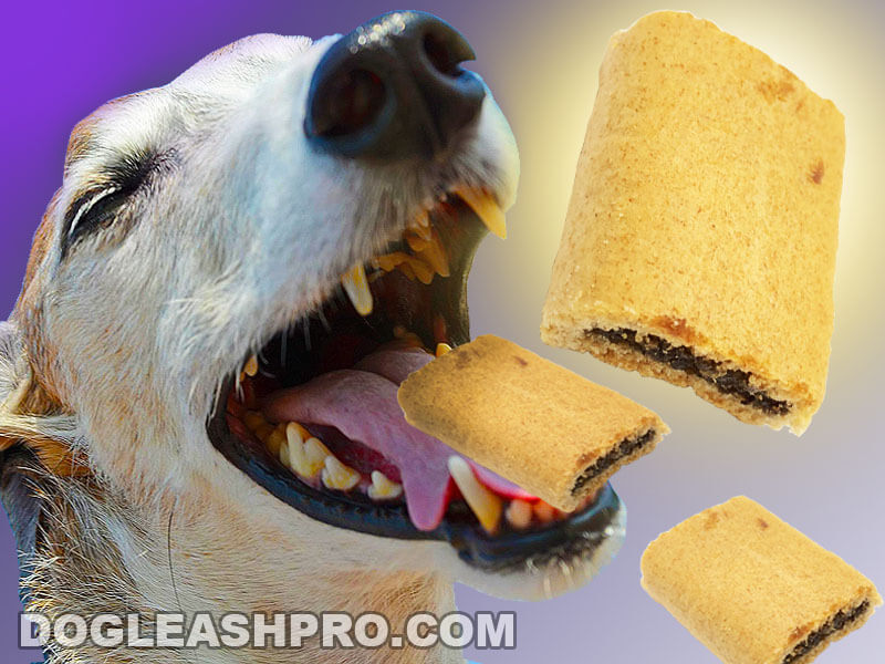 are fig newton cookies bad for dogs