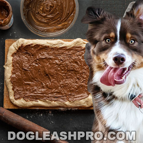 Can Dogs Eat Nutella? - Dog Leash Pro