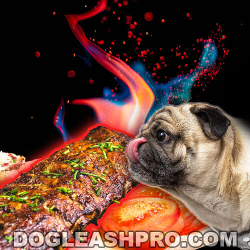 Can Dogs Eat Pork Rib Bones? - Dog Leash Pro